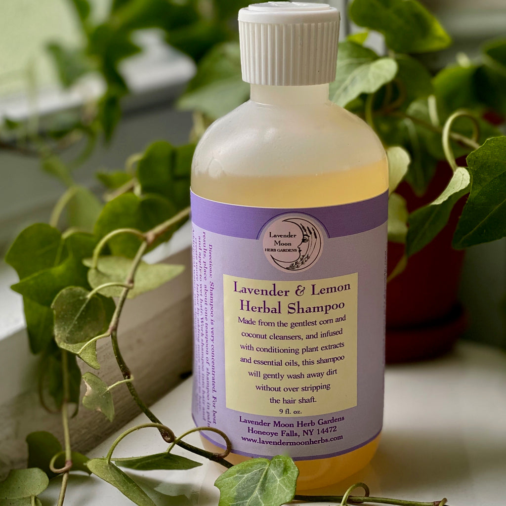 Lavender Lemon Shampoo