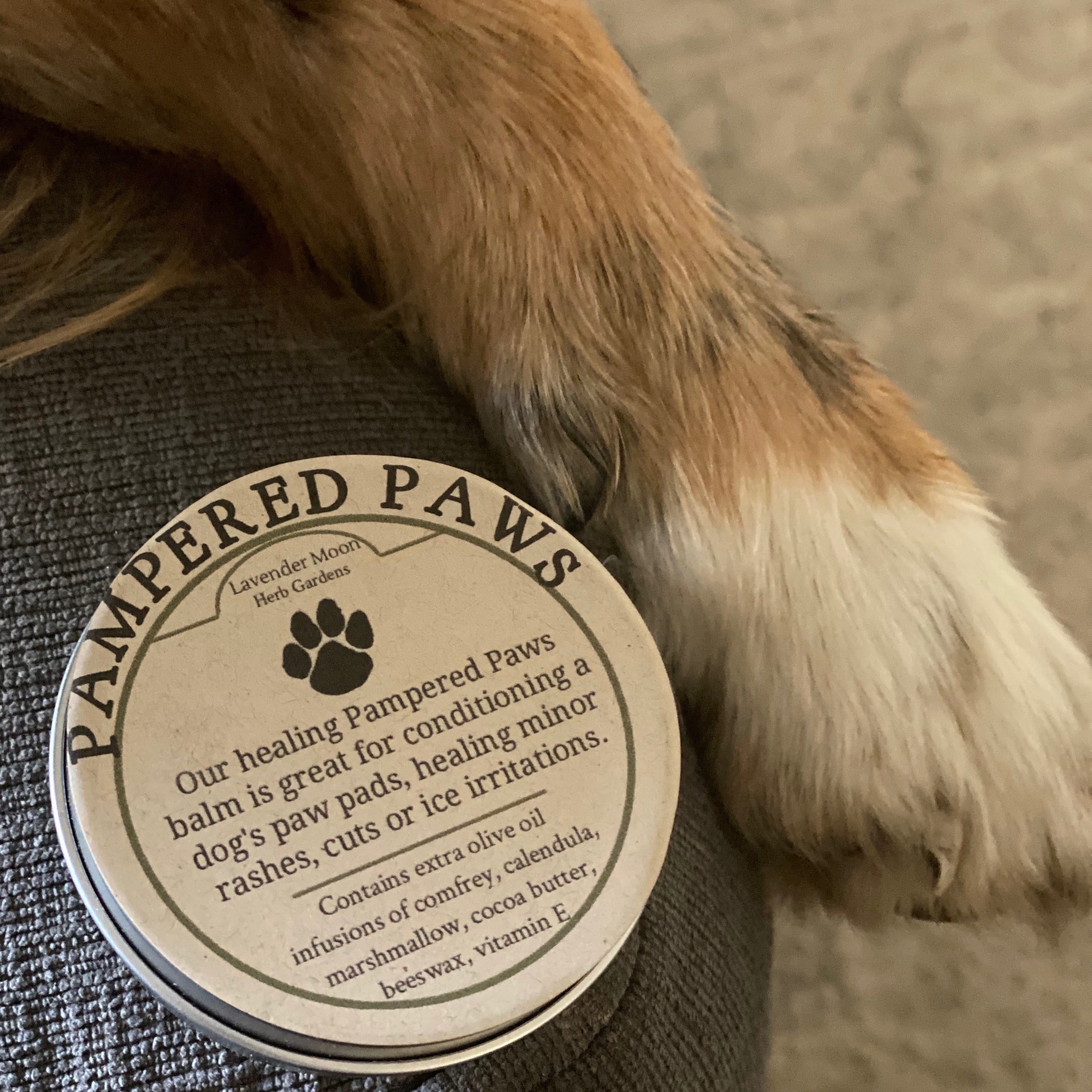 Pampered Paws – Lavender Moon Herb Gardens - Main Image