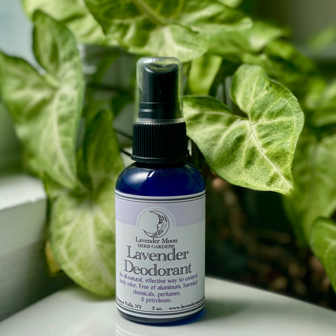 Lavender Deodorant