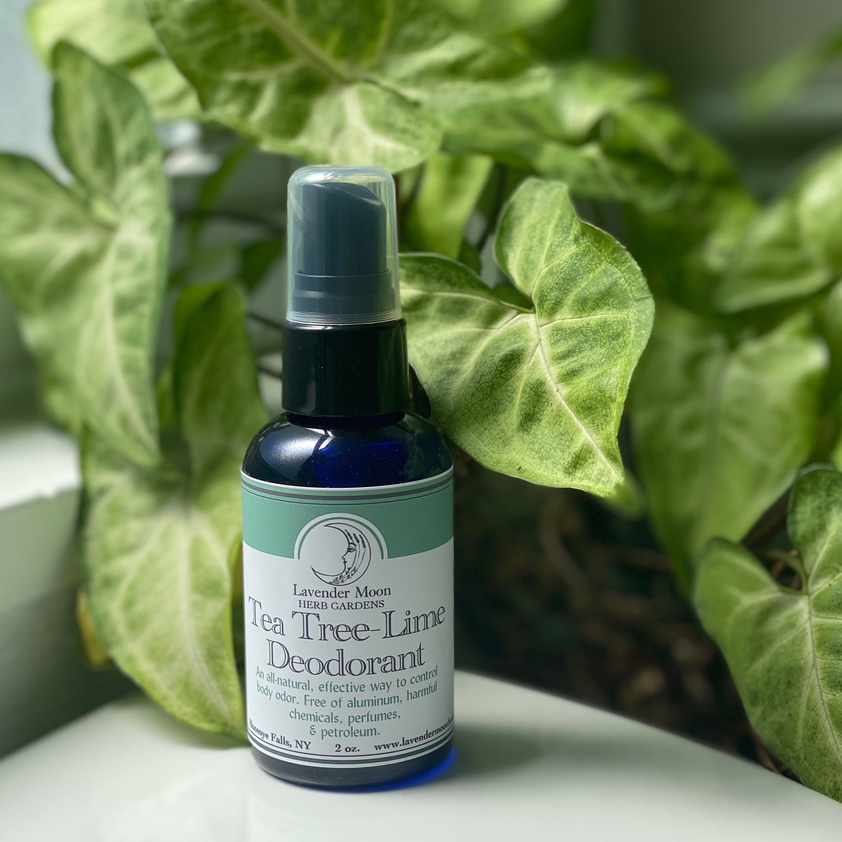 lime for lavender plants Tea Tree Lime Deodorant – Lavender Moon Herb Gardens