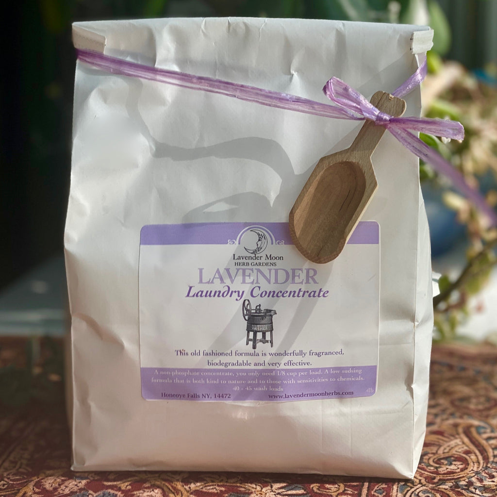 Lavender Laundry Concentrate