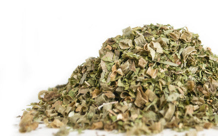 Zesty Zucchini Seasonings
